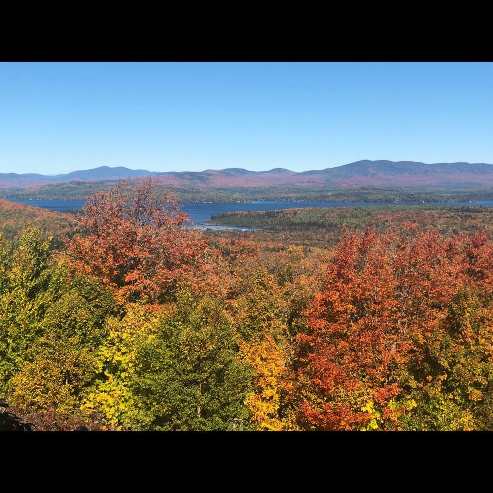 Meet your Posher, Docily